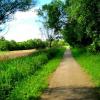 dalsza część trasy Park-Będzin Zamek, Roman Świątkowski