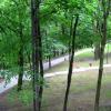 park, Roman Świątkowski