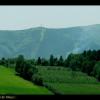 Widok na Jaworowy, Vincci
