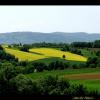 , Vincci