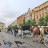 Rynek