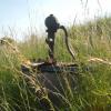 , Grzegorz