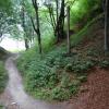 W Lisim Jarze, Marcin_Henioo