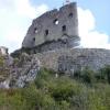 , mokunka