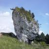 , mokunka