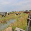 JuraPark Krasiejów