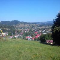 , Alek