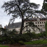Blois, Jan Nowak