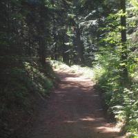 Teraz do schroniska na Kudłaczach, Tadeusz Walkowicz