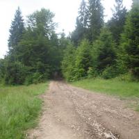 Teraz do Schroniska Stare Wierchy, Tadeusz Walkowicz