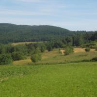 Wracam na szlak, Tadeusz Walkowicz