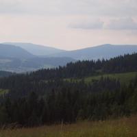 Na szlaku, Tadeusz Walkowicz