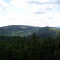 Lesista wlk., Krzysztof Dorota