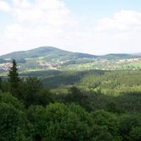 , Krzysztof Dorota
