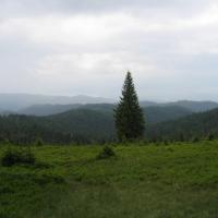 , paweł rosiński