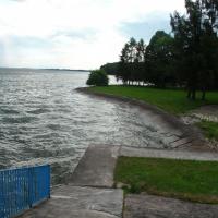 , mokunka
