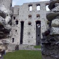 , mokunka