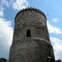 wieżą zamkowa, Roman Świątkowski