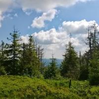 Na szlaku w stronę Hali Mała Racza, DoRi