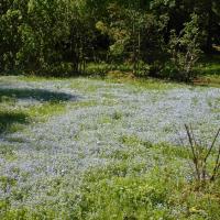 ogród botaniczny w Lublinie, Magdalena