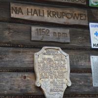, Katarzyna Jamrozik
