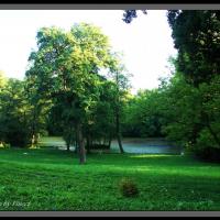 Kończyce Wielkie - widok na staw przypałacowy, Vincci