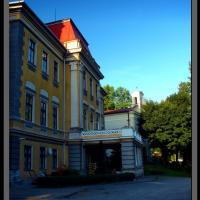 Kończyce Wielkie - pałac., Vincci