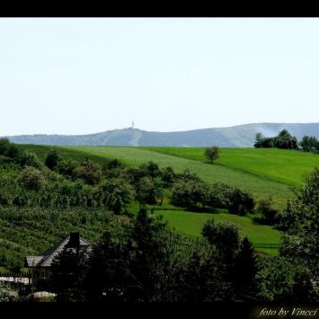 Widok na Jaworowy, Vincci