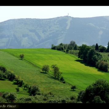 Widok na Jaworowy, Vincci