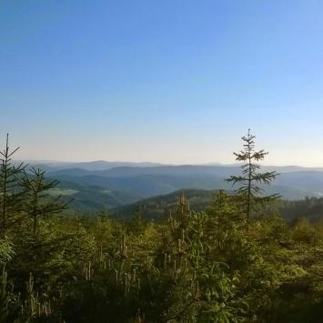 Panorama na szlaku w stronę Malinowskiej Skały, DoRi