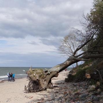 Jastrzębia Góra i plaża, Marcin_Henioo