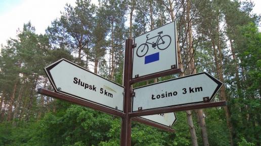 , Danusia