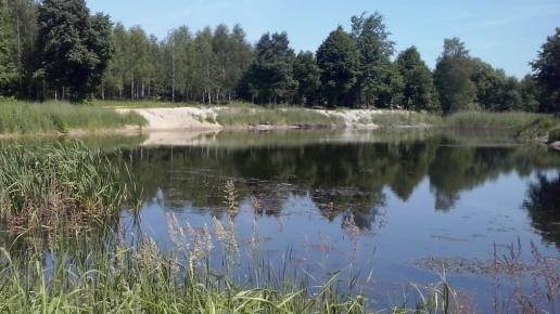 Osrodek w Krępie ta i 12 kolejnych fot, mokunka