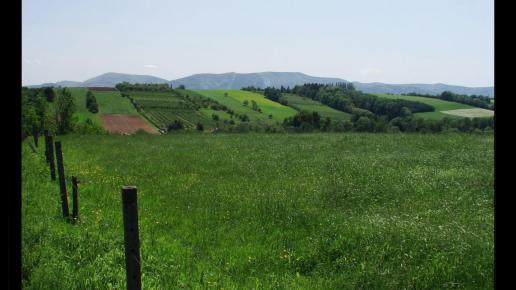 Panorama Beskidu Morawskiego, Vincci