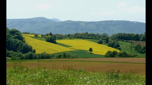 Beskid Morawski w tle Łysa Góra 1324mn.p.m, Vincci