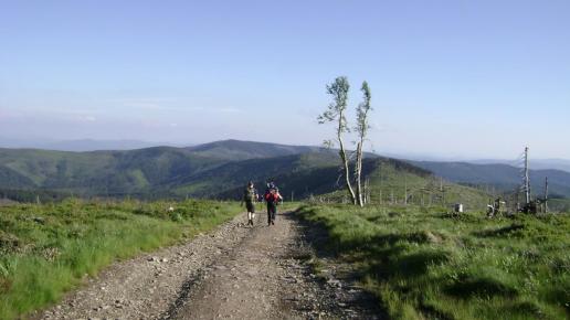 Małe Skrzyczne, DoRi
