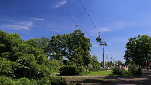 Park Śląski