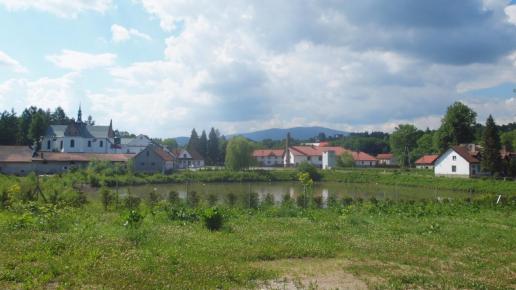 Zabudowania klasztortne OO. Cystersów w Szczyrzycu, Tadeusz Walkowicz