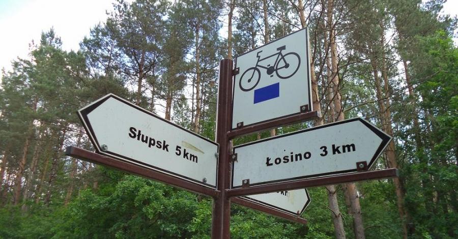 Słupsk-Łosino-Kobylnica-Słupsk - zdjęcie