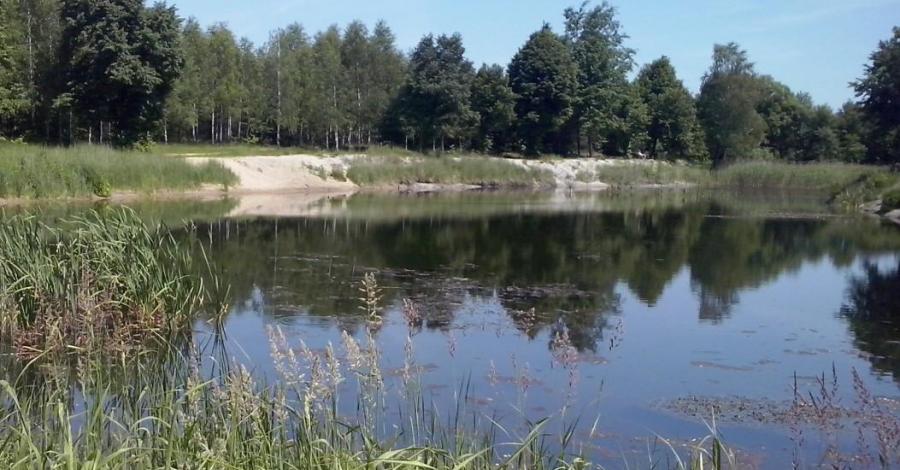 Słoneczna niedziela na Jurze - zdjęcie