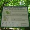 , Danusia