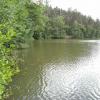 jezioro Korzybie, Danusia