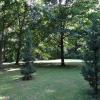 Park, Marcin_Henioo