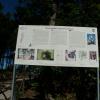 , mokunka