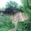 , mokunka