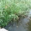 , mokunka