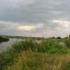 , mokunka