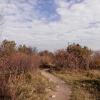 , Magdalena