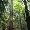 dinopark