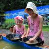 dinopark poławianie złota